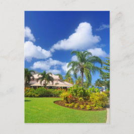 Cartão Postal Jardim tropical
