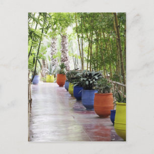 Cartão Postal Jardin Majorelle, Jardim Majorelle, agora um espaç