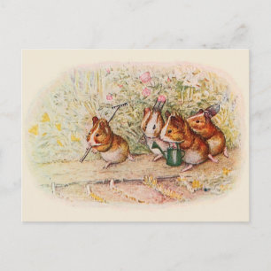 Cartão Postal Jardinagem de Porcos de Guiné