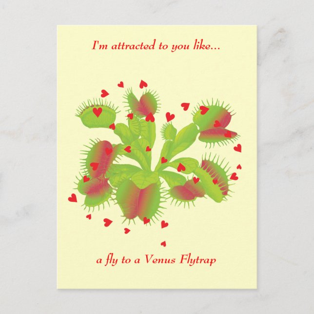 Cartão Postal Jardineiro apaixonado (Frente)