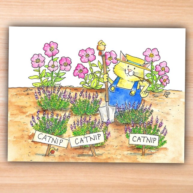 Cartão Postal Jardineiro de Gatos  (Criador carregado)