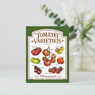 Cartão Postal Jardineiro de tomate, Horticultura de tomate