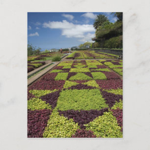 Cartão Postal Jardins Botânicos, Funchal, Ilhas da Madeira,
