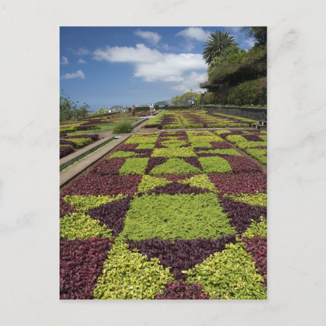 Cartão Postal Jardins Botânicos, Funchal, Ilhas da Madeira, (Frente)