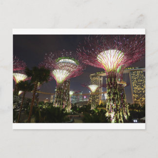 Cartão Postal Jardins da Baía Singapura Bosque Supertree