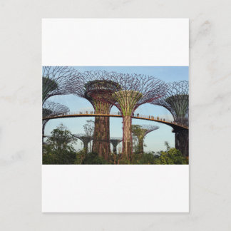 Cartão Postal Jardins da Superárvore da Baía de Singapura