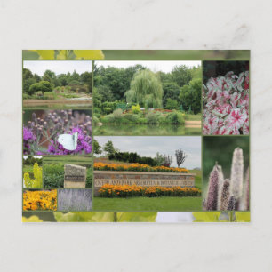 Cartão Postal Jardins de Arboretum e Botânica do Parque Terrestr