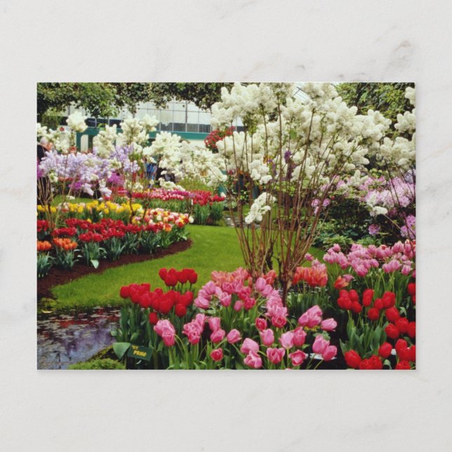 Cartão Postal Jardins de Keukenhof em Lisse, a sul de Amster (Frente)