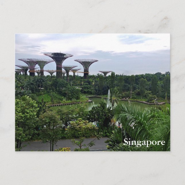 Cartão Postal Jardins de Singapura na Baía (Frente)