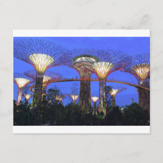 Cartão Postal Jardins do parque ecológico da baía de Singapura