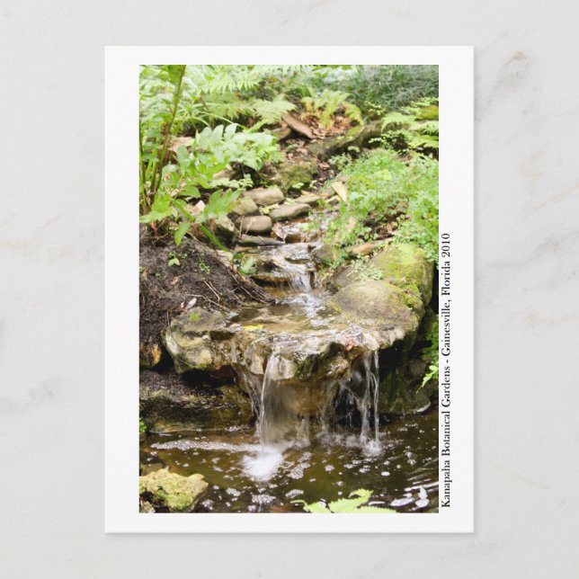 Cartão Postal Jardins Kanapaha - Gainesville 002 (Frente)