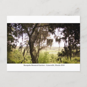 Cartão Postal Jardins Kanapaha - Gainesville 009