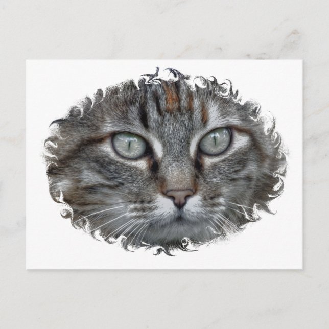 Cartão Postal Jasmine (Frente)