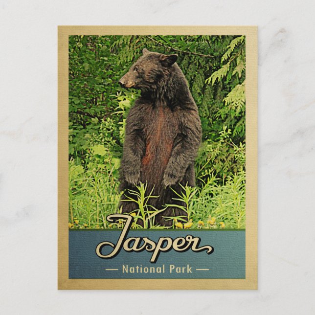 Cartão Postal Jasper National Park Viagens vintage Bear (Frente)