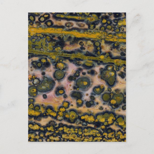 Cartão Postal Jasper Oceano com manchas amarelas (Frente)