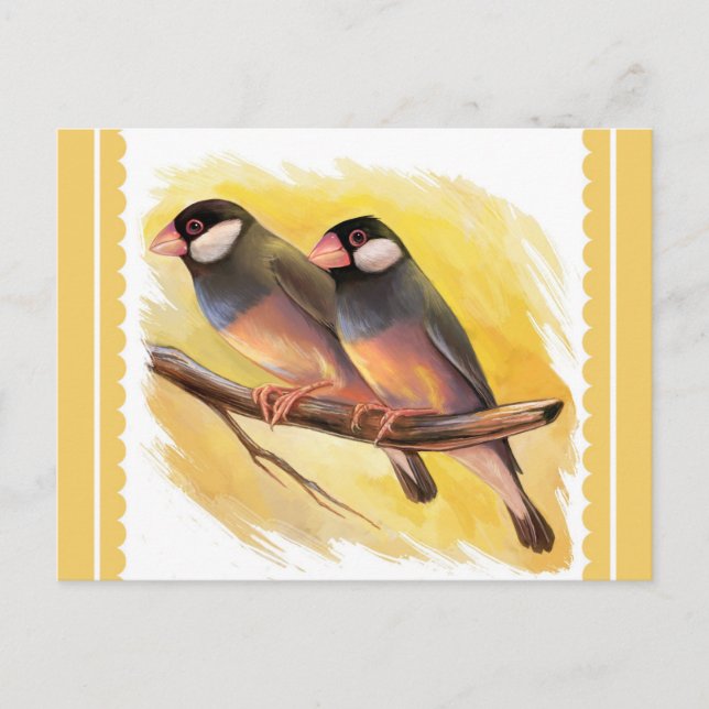 Cartão Postal Java Sparrow finaliza a pintura realista (Frente)