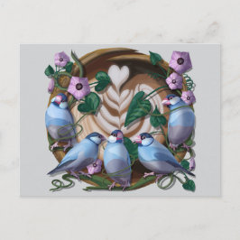 Cartão Postal Java Sparrows, Java Coffee