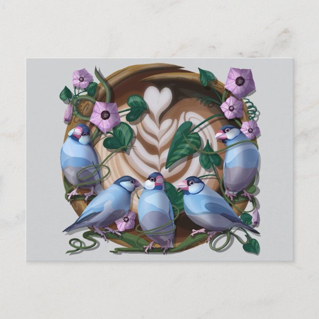 Cartão Postal Java Sparrows, Java Coffee (Frente)