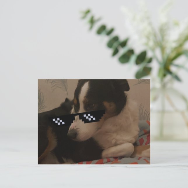 Cartão postal Jay (Em pé/Frente)