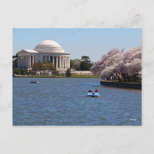 Cartão Postal Jefferson Memorial Washington DC
