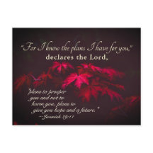 Jeremiah 29:11 Porque eu sei os planos que tenho p