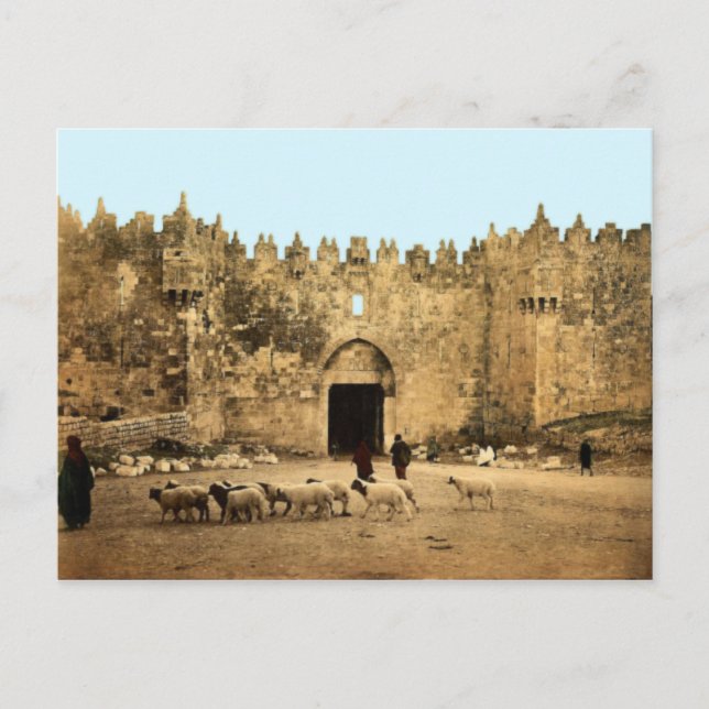Cartão Postal Jerusalém - Porta de Damasco (Frente)