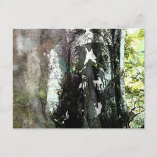 Cartão Postal Jesus e a Árvore