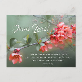 Cartão Postal Jesus Lives Spring Flowers Bible Verse Easter