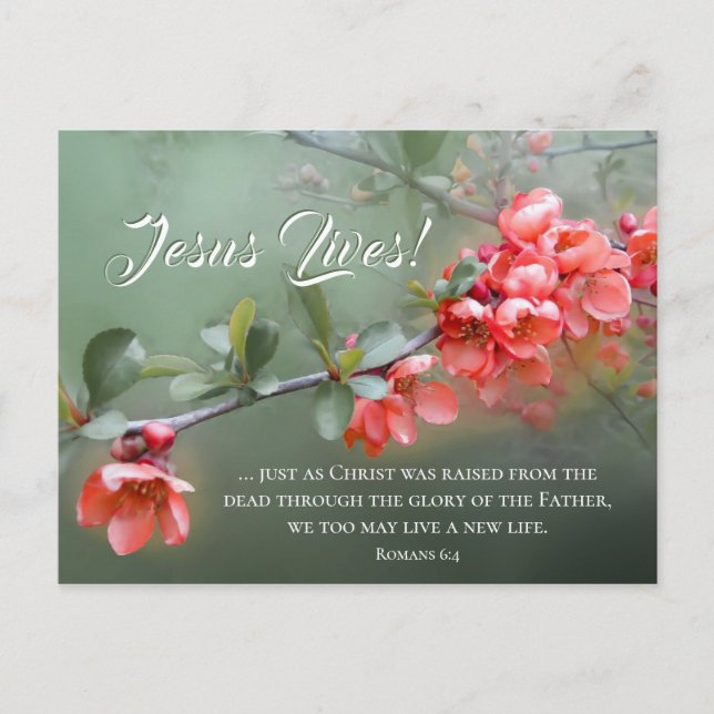 Cartão Postal Jesus Lives Spring Flowers Bible Verse Easter (Frente)