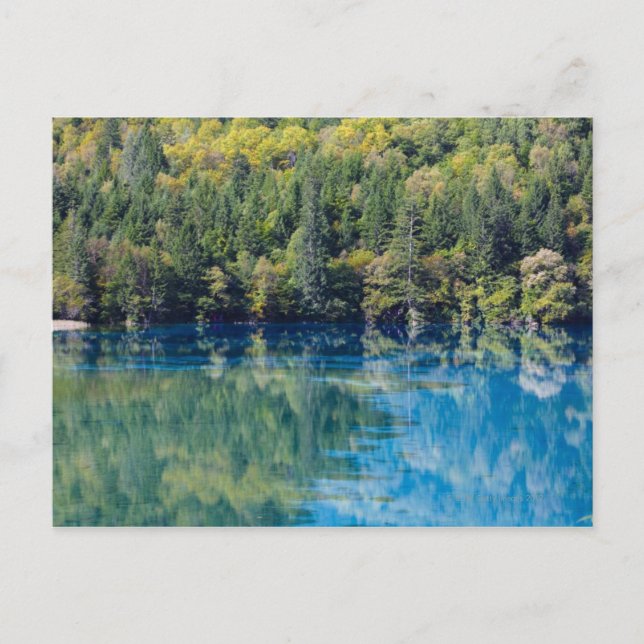 Cartão Postal Jiuzhaigou (Frente)