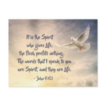 João 6:63 As Palavras que Eu Falo são Espírito e V