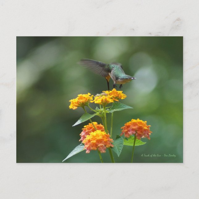 Cartão Postal Joel Dançante (Frente)