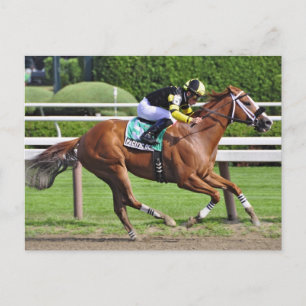 Cartão Postal Joel Rosario a bordo do Oceano Pacífico