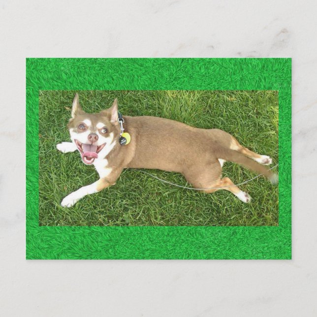 Cartão Postal Joey Laughs (Frente)