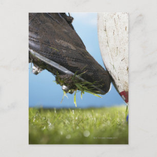 Cartão Postal Jogador de rugby jogando bola fora de lá, feche