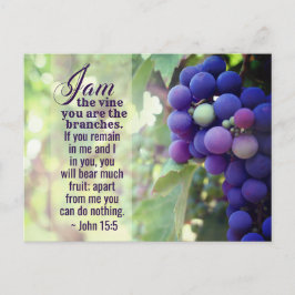 Cartão Postal John 15:5 Eu sou a Vinha Você é a Bíblia dos Ramai