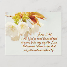 Cartão Postal John 3:16 Deus adorava o mundo, Escritura