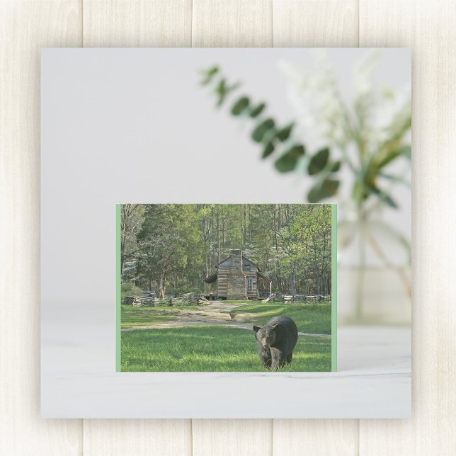 Cartão Postal John Oliver Cabin (Criador carregado)