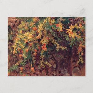 Cartão Postal John Singer Sargent- Pomegranates