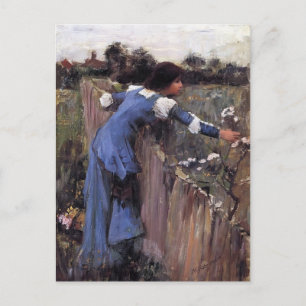 Cartão Postal John William Waterhouse - O Seletor da Flor