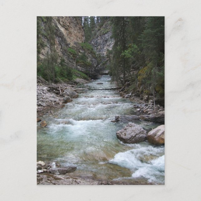 Cartão Postal Johnston Canyon Step Falls (Frente)