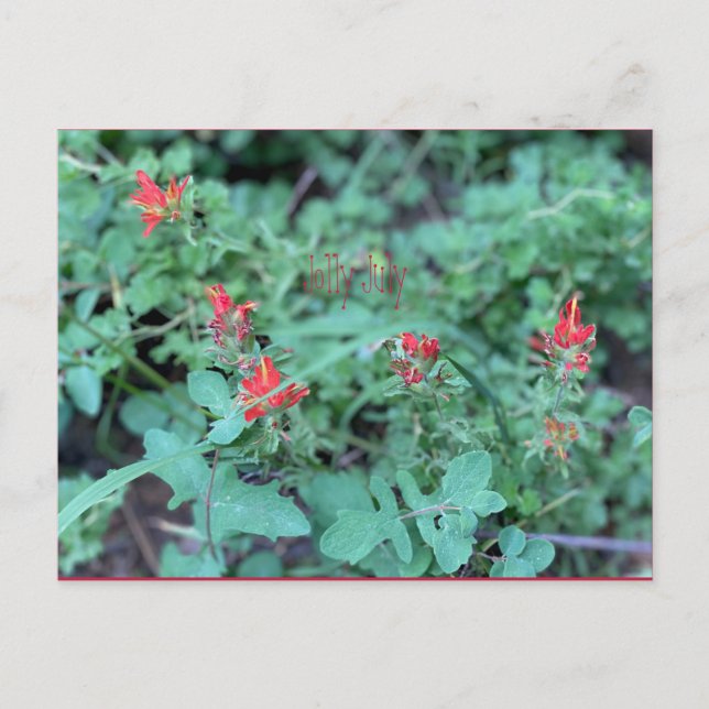 Cartão postal Jolly Julho (Frente)