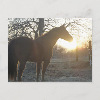 Cartão Postal Jose Benito