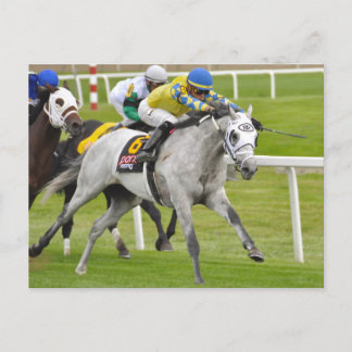 Cartão Postal Jose Ortiz em Rápido e Exato