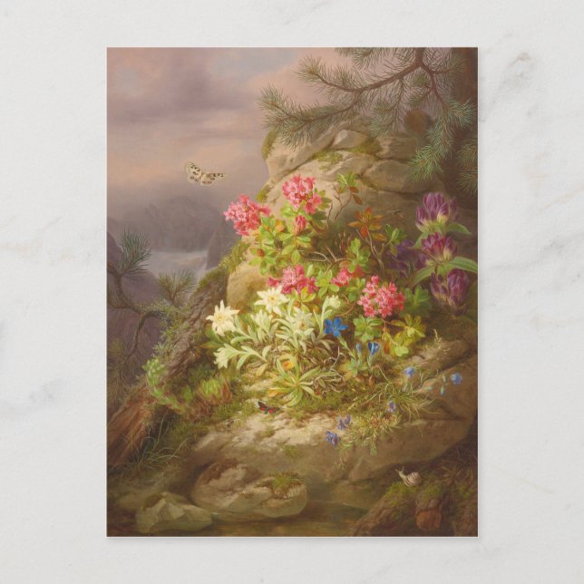 Cartão Postal Josef Lauer Natureza-morta com flores e caracol (Frente)