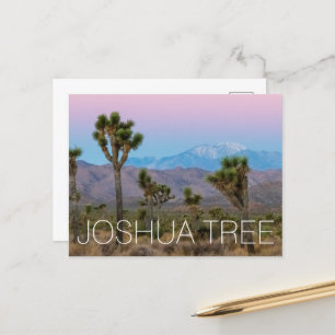 Cartão Postal Joshua Tree