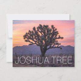 Cartão Postal Joshua Tree