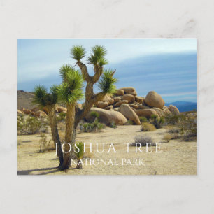Cartão Postal Joshua Tree, Boulders Gigantes, Cartão-postal Des