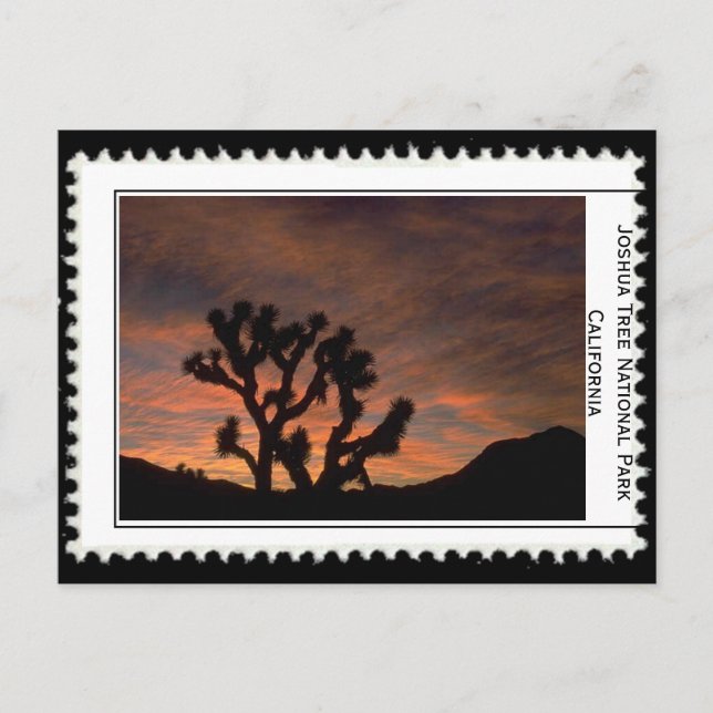 Cartão Postal Joshua Tree California (Frente)