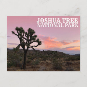 Cartão Postal Joshua Tree California Sunset